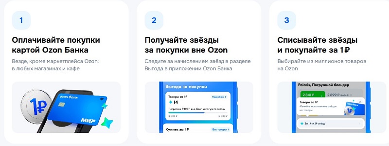 Программа товары за 1 рубль на Ozon